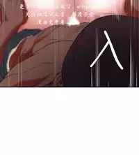 母豬養成計畫【中文】