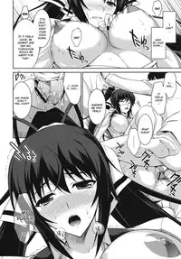 (C81) [Type-G (Ishigaki Takashi)] Broom on the Frontline (Infinite Stratos) [English] {CGRascal}