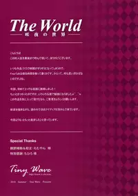 (C78) [TINY WAVE (s-yin)] Sakuya no Sekai (Touhou Project)