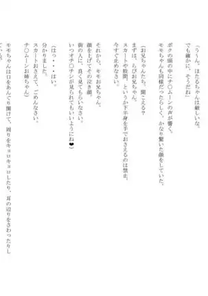 男の娘セーラー戦士W