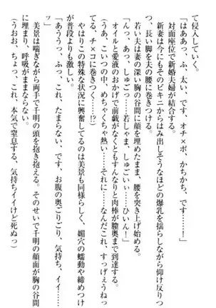年上メイドの新婚日記