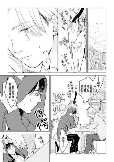 恋爱中的猫咪想被抚摸