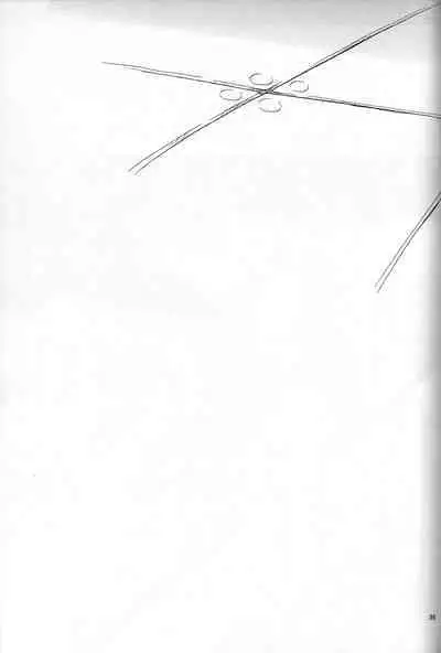 <Shinyaku> NEON GENESIS document R