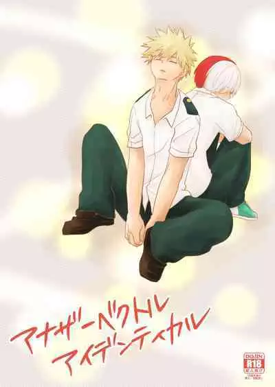 Another Vector Identical