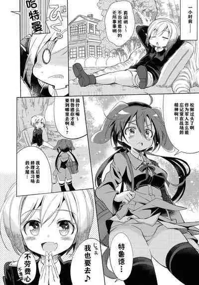 Yappari Hartmann da ne | 果然是哈特曼呢