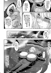 NIPPON LACTATE II