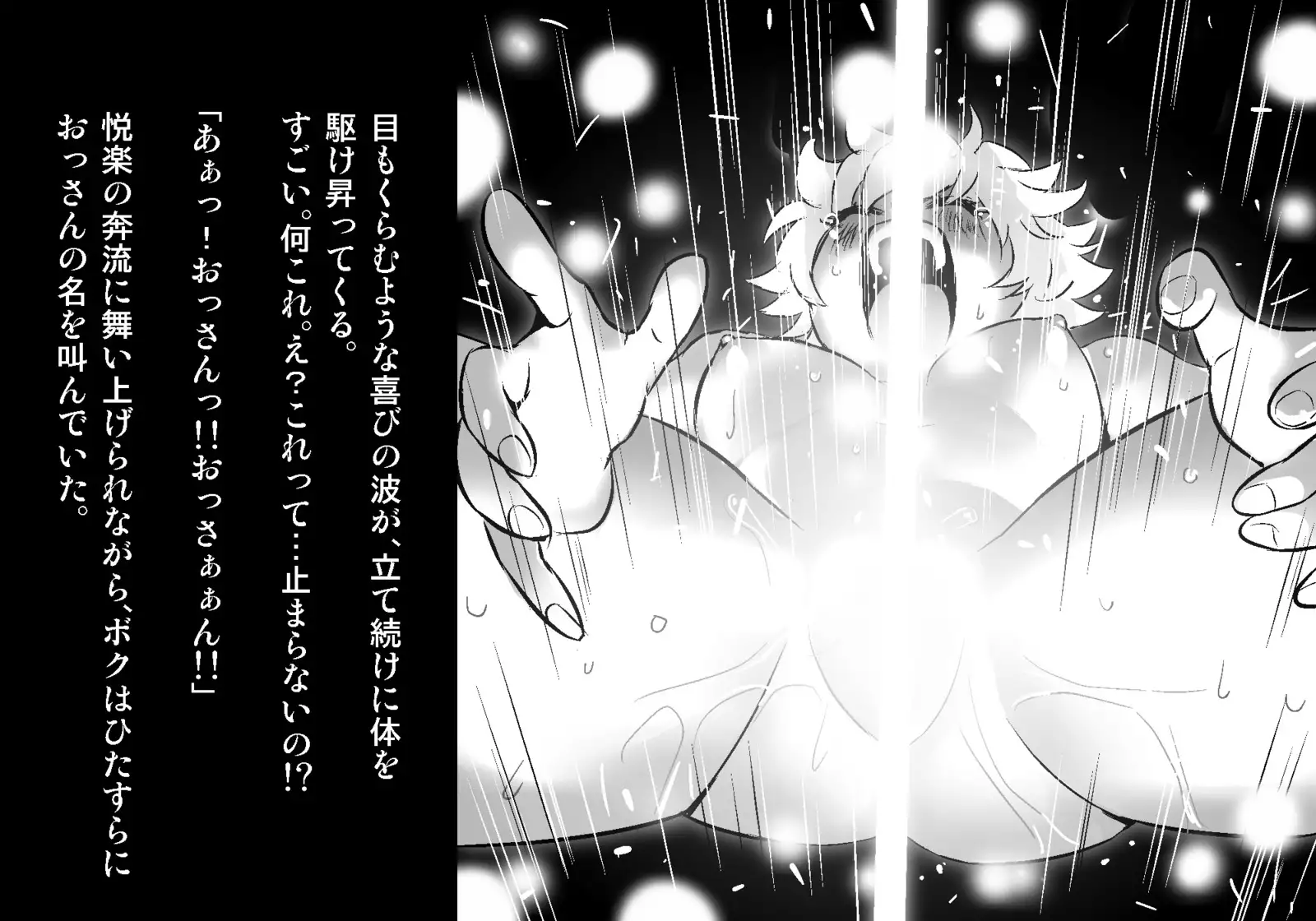 フェアリーセティ