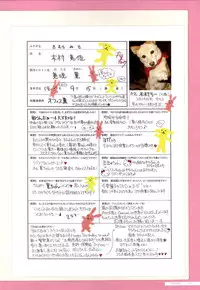 Canvas2 ～茜色のパレット～ ビジュアルファンブック