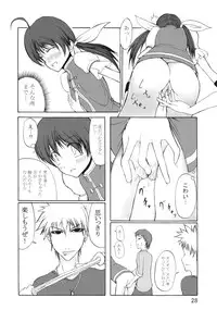 (SC33) [3g (Junkie)] DOF the densya of fighters (King of Fighters)