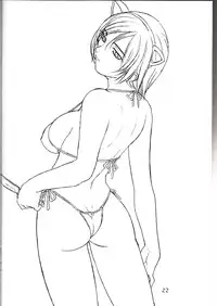 (C61)[Soreya (Nishitsuki Tsutomu)] Cat Parade (Gunparade March)