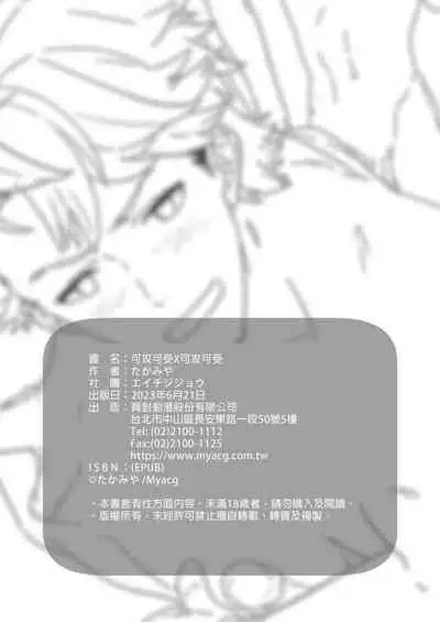 Reversible x Reversible | 可攻可受 x 可攻可受