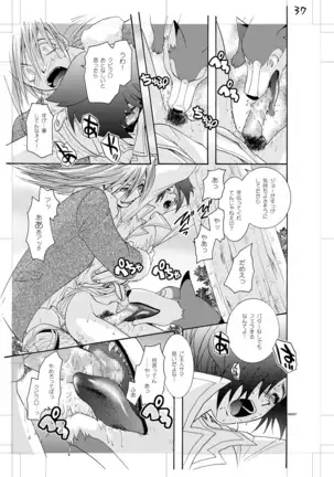 青年同盟MODE.肉欲