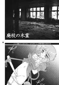 [FLASHBACK & Nippon Gyouretsu Shinkoukai] CHARA EMU CHARACTER EMULATION Series 1 MAGICALGIRLS (Mahou Shoujo Series)