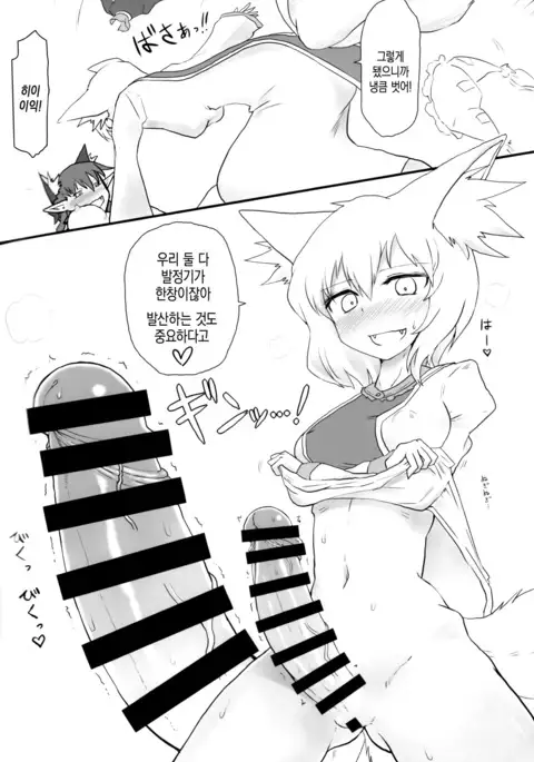 KitsuNeko. | 여우냥이.