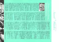 [Nishieda] Dendrobium