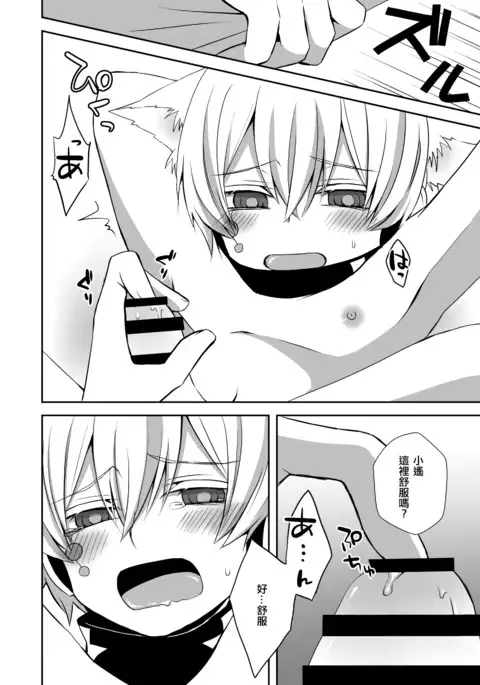 Neko Konoha no Jijiou