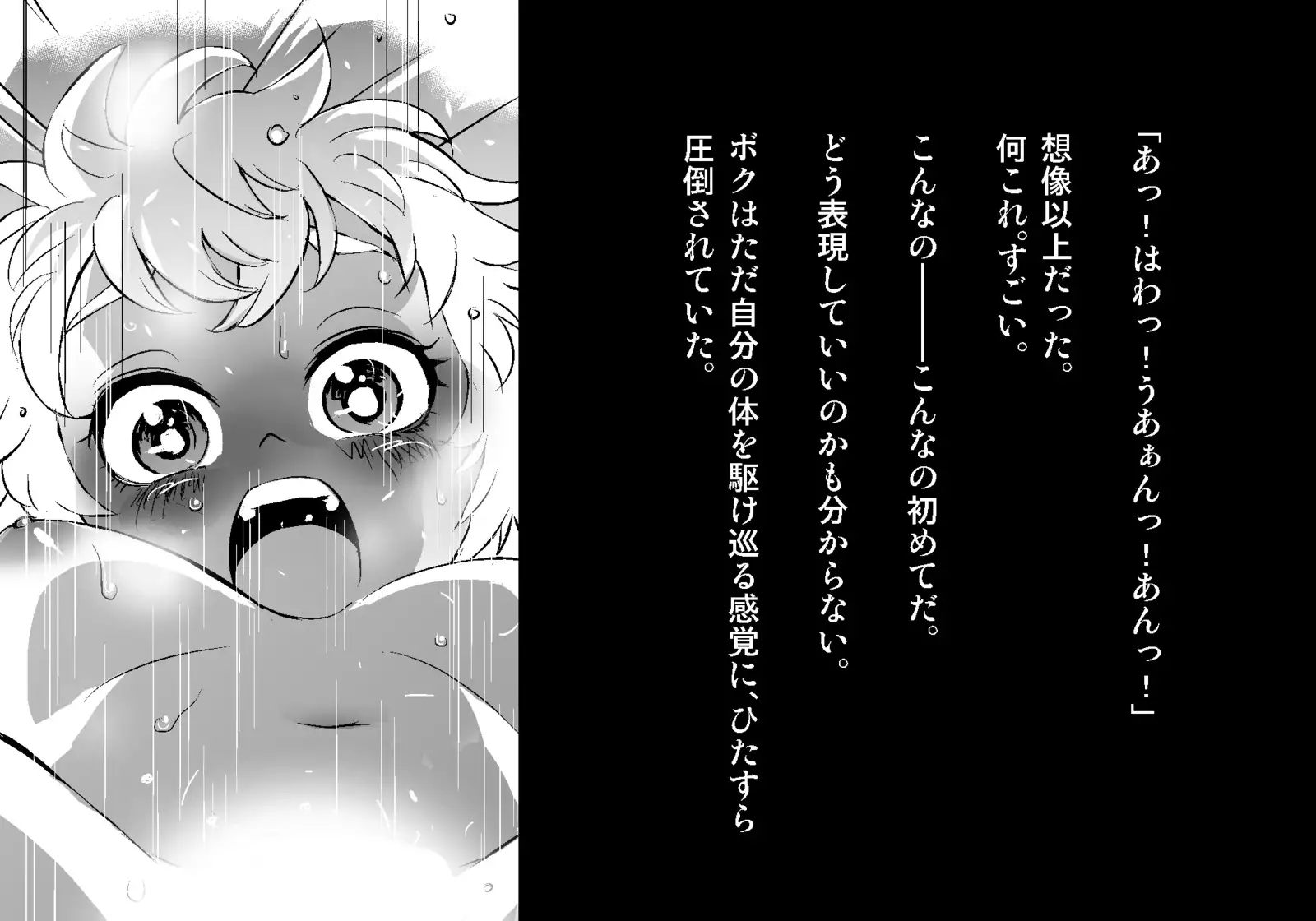 フェアリーセティ