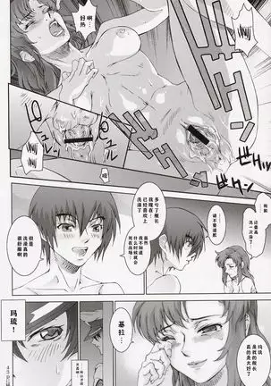 Ketsu Megaton Seed 【零食汉化组】