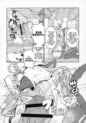 Fatima Carnival | 파티마 카니발