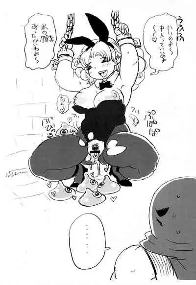 Soryo-chan no Junan