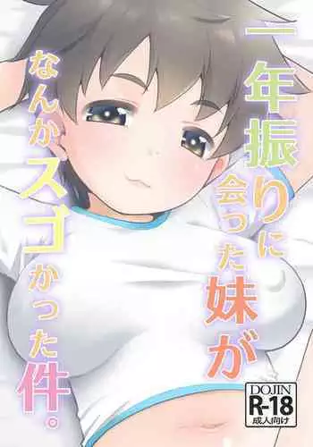 Ichinen-buri ni Atta Imouto ga Nanka Sugokatta Ken.