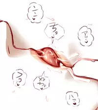 [Taikyokuturugi] Sendai to Keine ga ichaicha suru hanashi - Chapter 1-5 [complete] (Touhou Project)