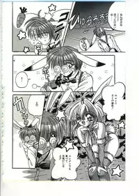 [Appleton] Fairy Paradise