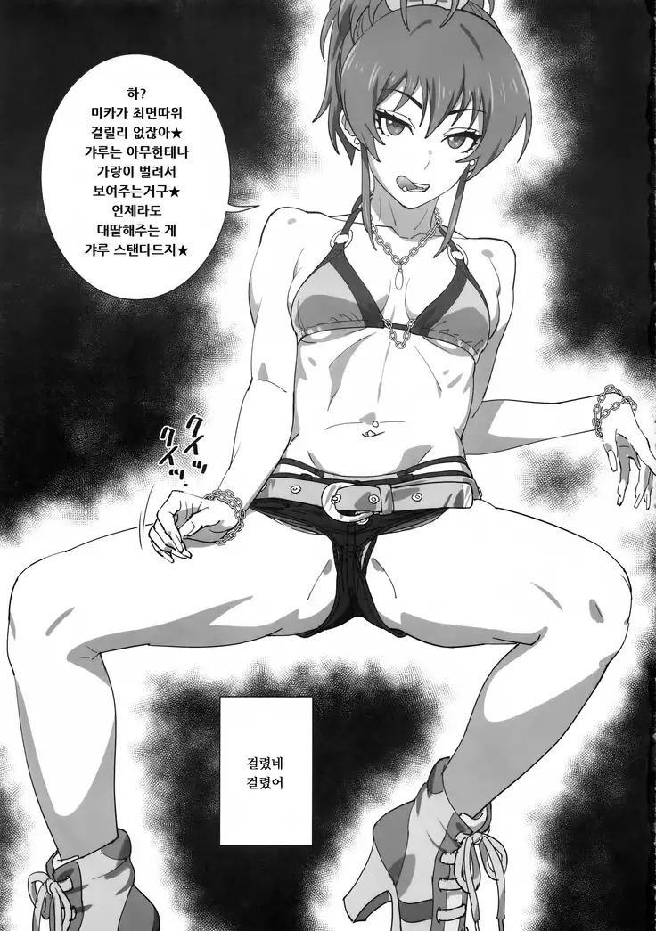 Mika Kenkyuussho | 미카연구자너