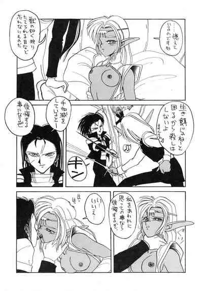 (C41) [Night Stalkers (SHAMP Samurai, Compiler)] Deed ga Nobanashi 2 (Record of Lodoss War)