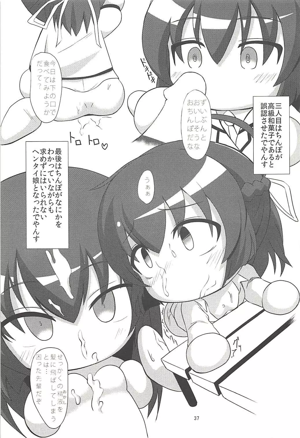 Pawaplus H 2013 Fuyu