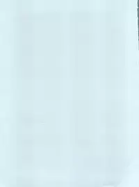 (C89) [Old School Academy (Amedama Akihito)] Lets Go no Joshi (Bakusou Kyoudai Lets & Go!!)