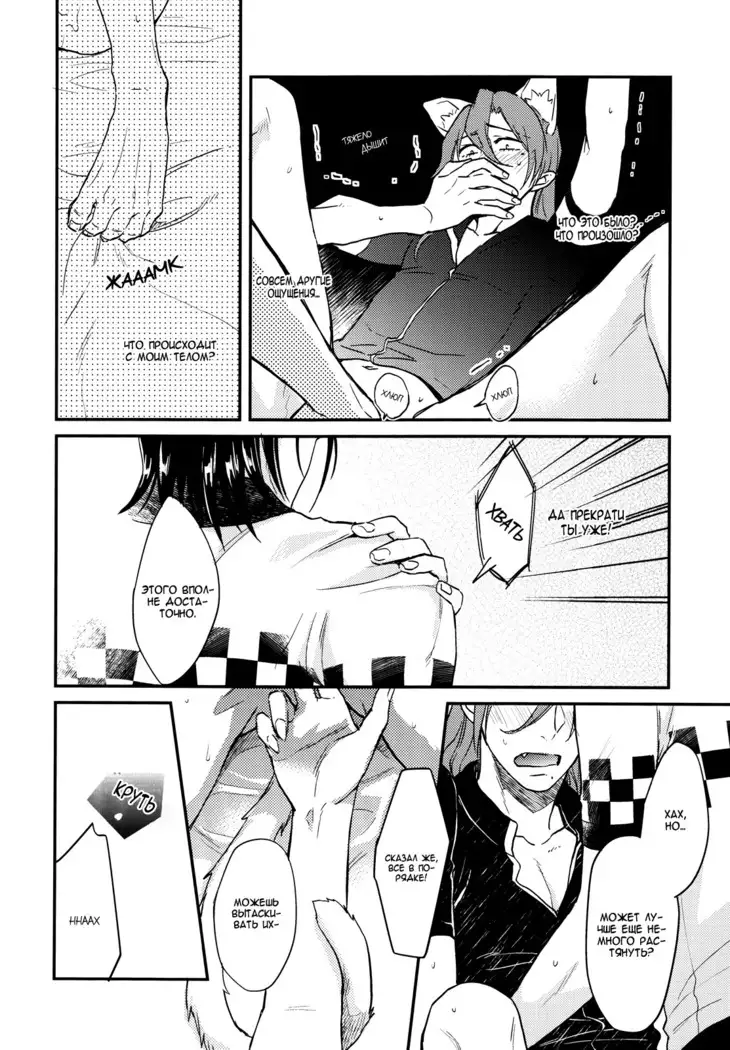 Green, black cat and rut