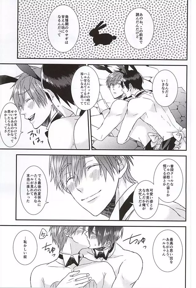 こっちむいて!バニーさん!