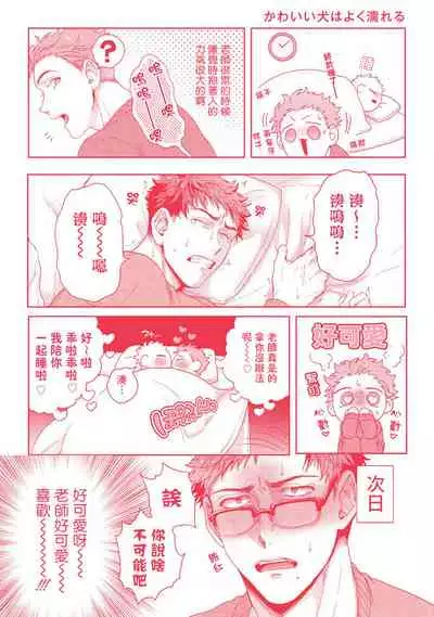 Tomodachi Dakedo Oishisou | 虽然是朋友但你看起來很好吃~死或爱+湿哒哒的可爱狗狗