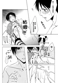 (CCOsaka97) [101MEGA (Muga)] Nyan Nyan Shitaio! 2 | 好想對你○○××!2 (Shingeki no Kyojin) [Chinese] [半透明の漢化組]