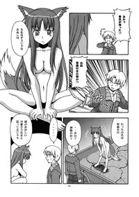 [Circle Credit (Benjamin, Akikan, Muichimon, NAL)] Ookami to Mimi to Shippo (Spice and Wolf)