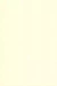 (C53) [Yonakiya (MIYA)] Kouta