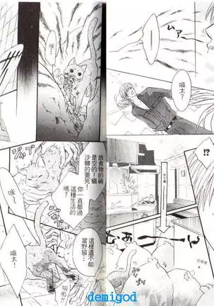 Punch | 直擊妳心