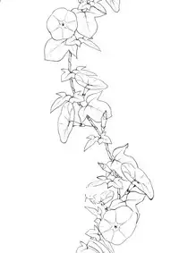 (C92) [Pochi-Goya. (Pochi.)] Ane Naru Mono 5 (Ane Naru Mono) [Chinese] [屏幕髒了漢化]