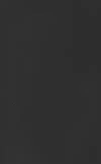 (C84) [clr, 12.5 (Akizou, Mizuki)] Answer (Resident Evil)