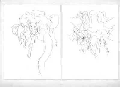 ALICESOFT ORION SCRIBBLES with CROQUIS ULTIMATE EDITION VOL.2 織音計画特別版 ラフ画集