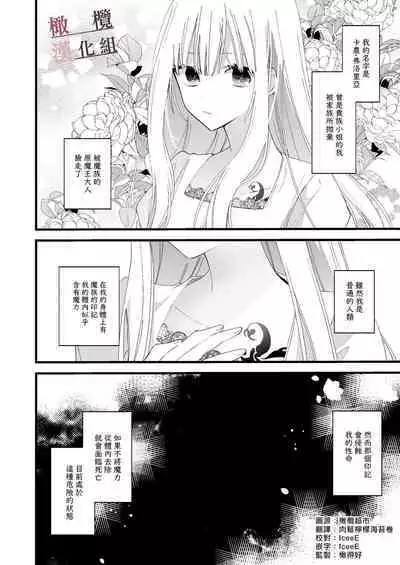 moto maō-sama ni hirowa reta hanashi 2｜被原魔王大人撿到的故事2