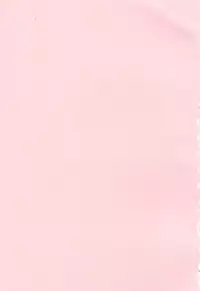 [Asagi Ryu] Onee-san ga Suki