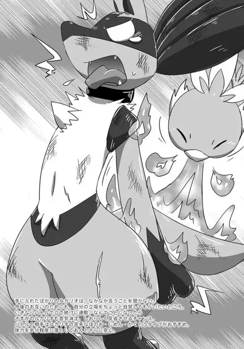 Lucario Training Book「How to Train Your~」