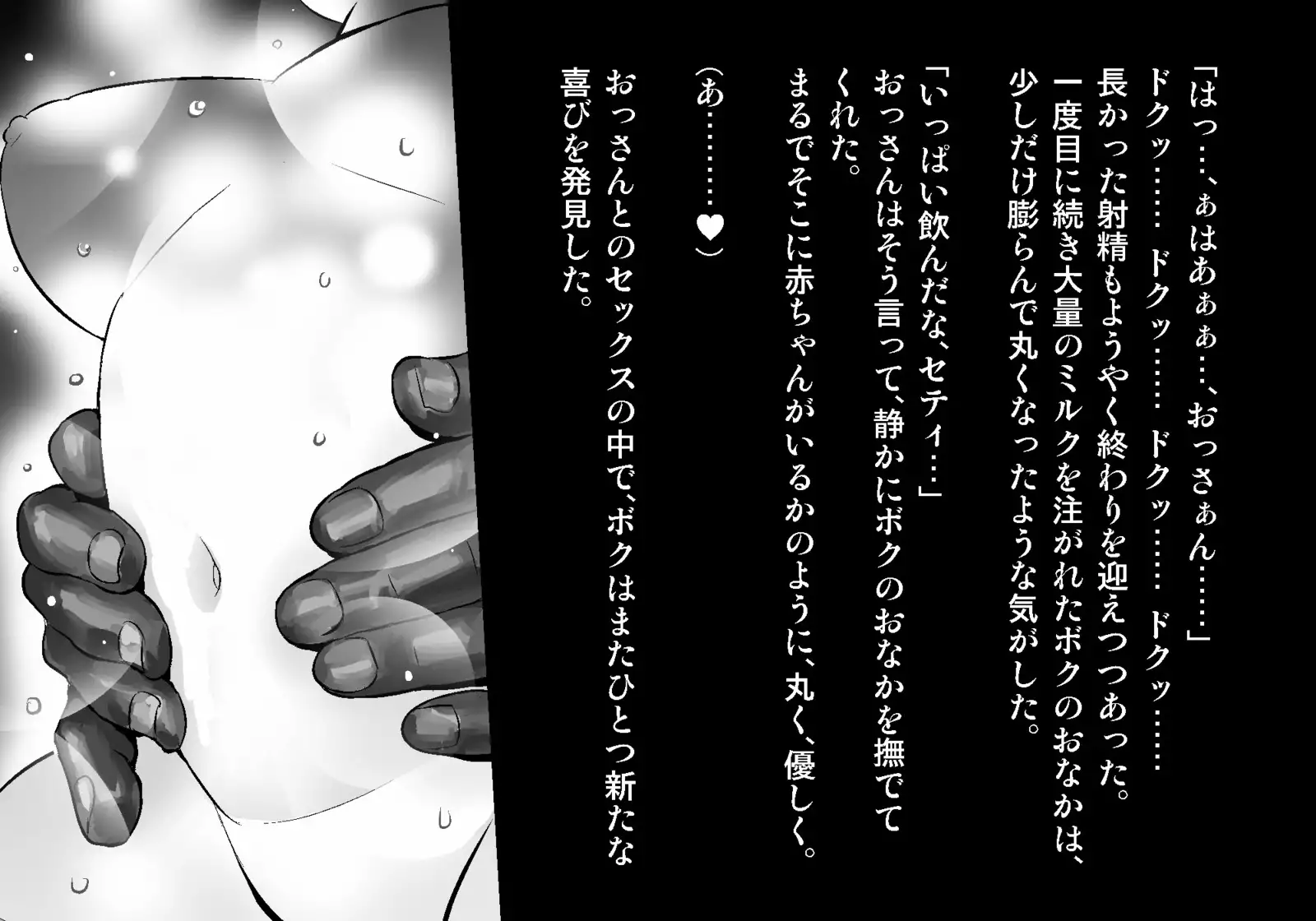 フェアリーセティ