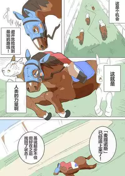 有秘密的竞赛马