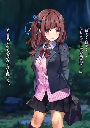 Hokaku sareta Shoujo ~ She becomes a sex slave due to reincarnation in another world ~