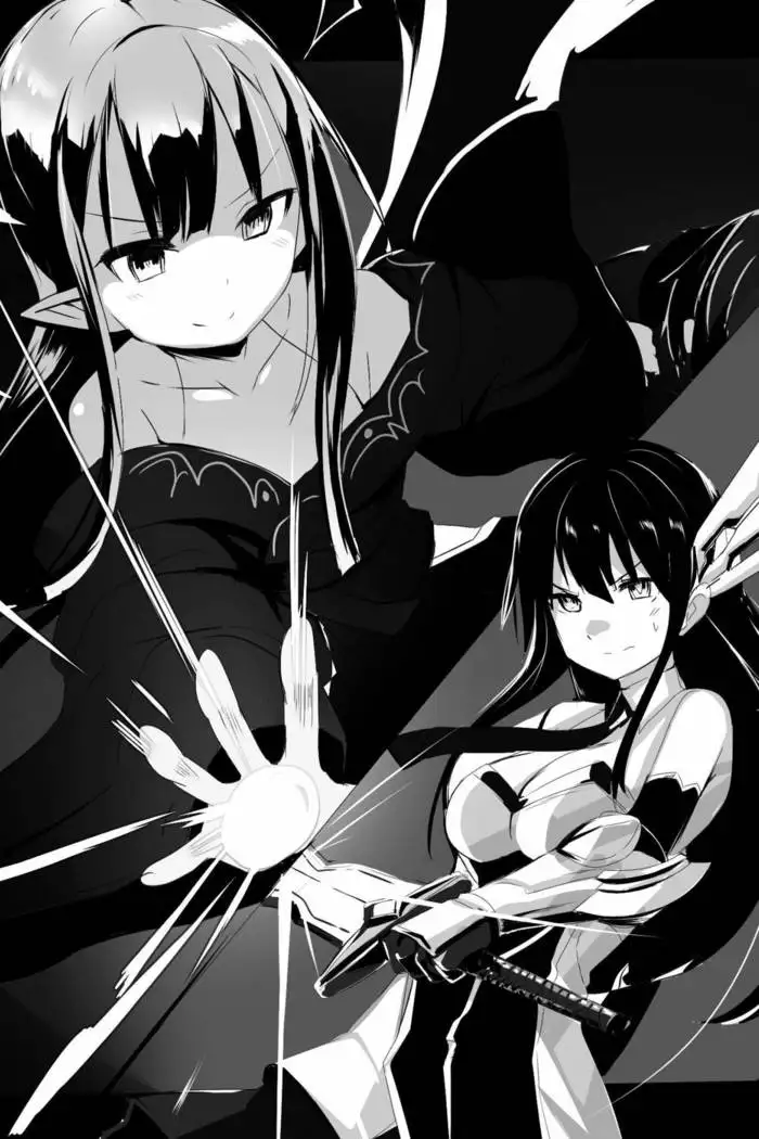 Himekishi ga Classmate! 2 | 공주 기사가 동급생! 2권]