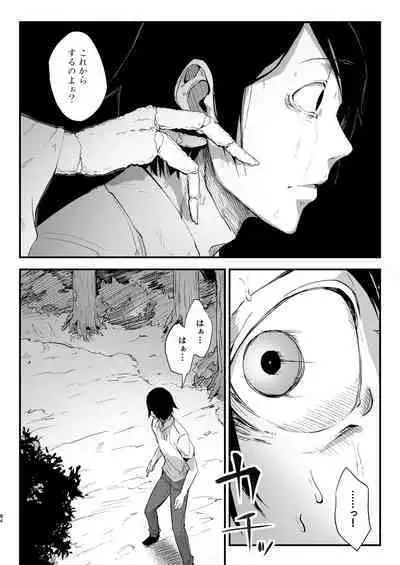 Shiragasane Soushuuhen