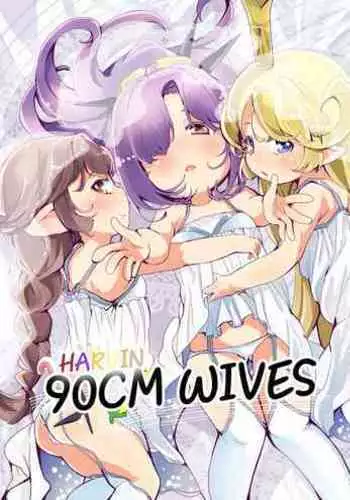 4.5-toshin no Hanayome | 90 cm Wives